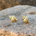 Aros Caracol