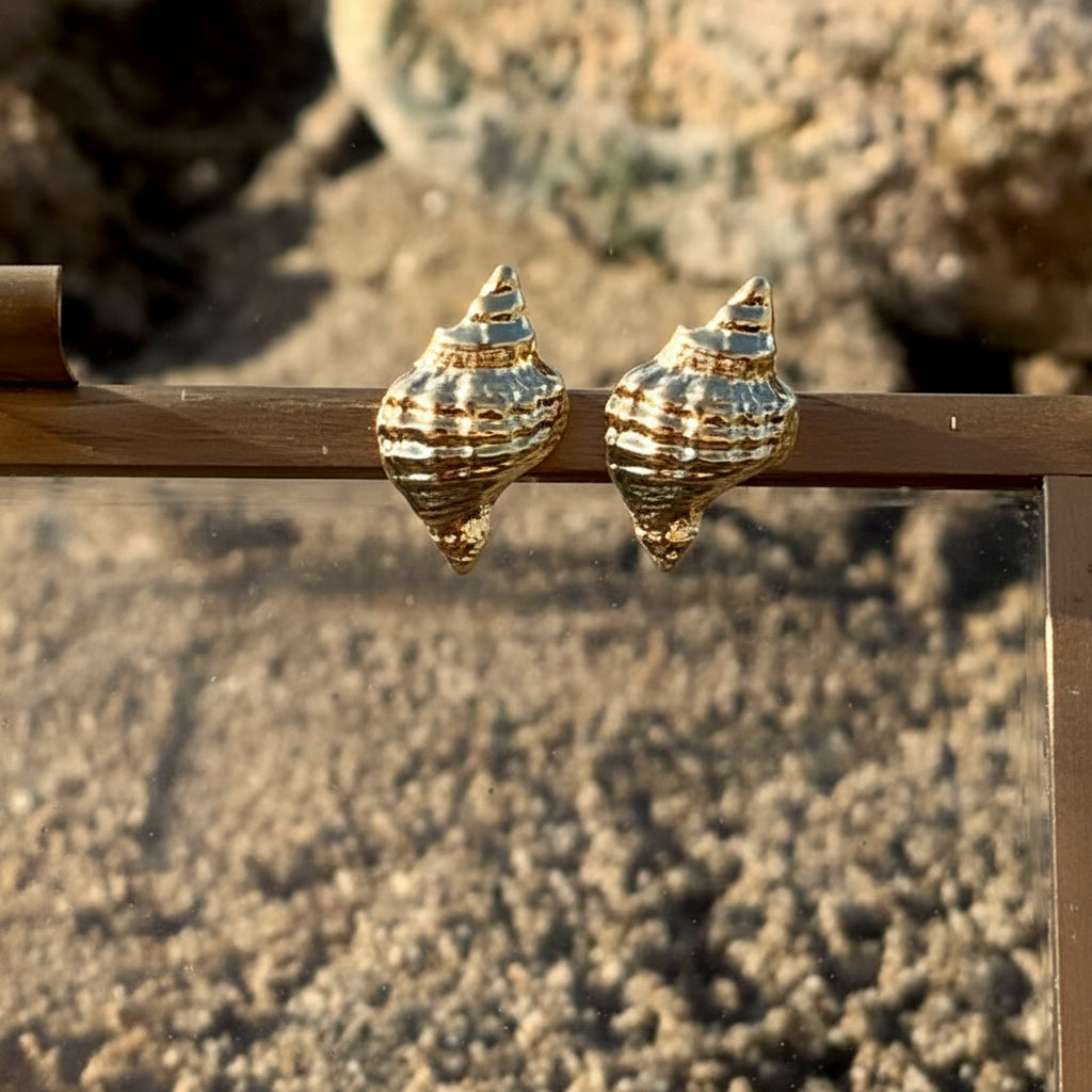 Aros Caracol